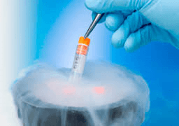 freezing eggs
