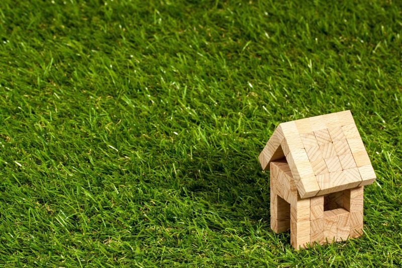 Medicaid home exemption
