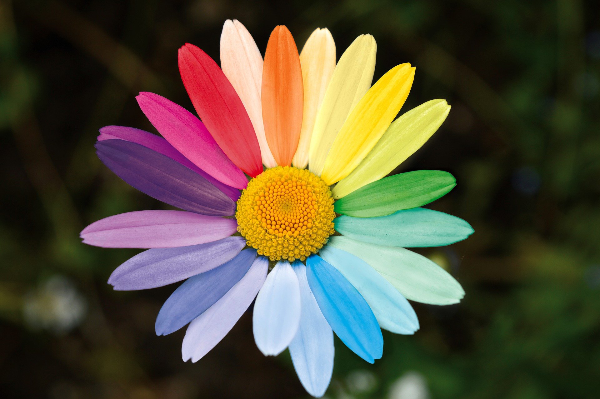 5 Estate Planning Tips for LGBT Individuals and Their Families